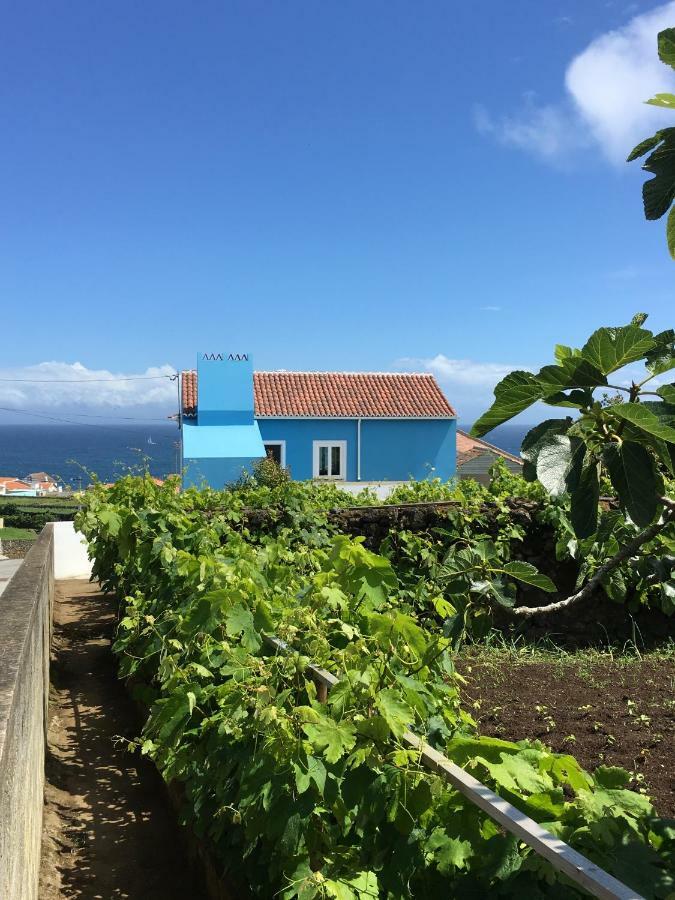 Porto Judeu Casa Do Vizinho 빌라 외부 사진